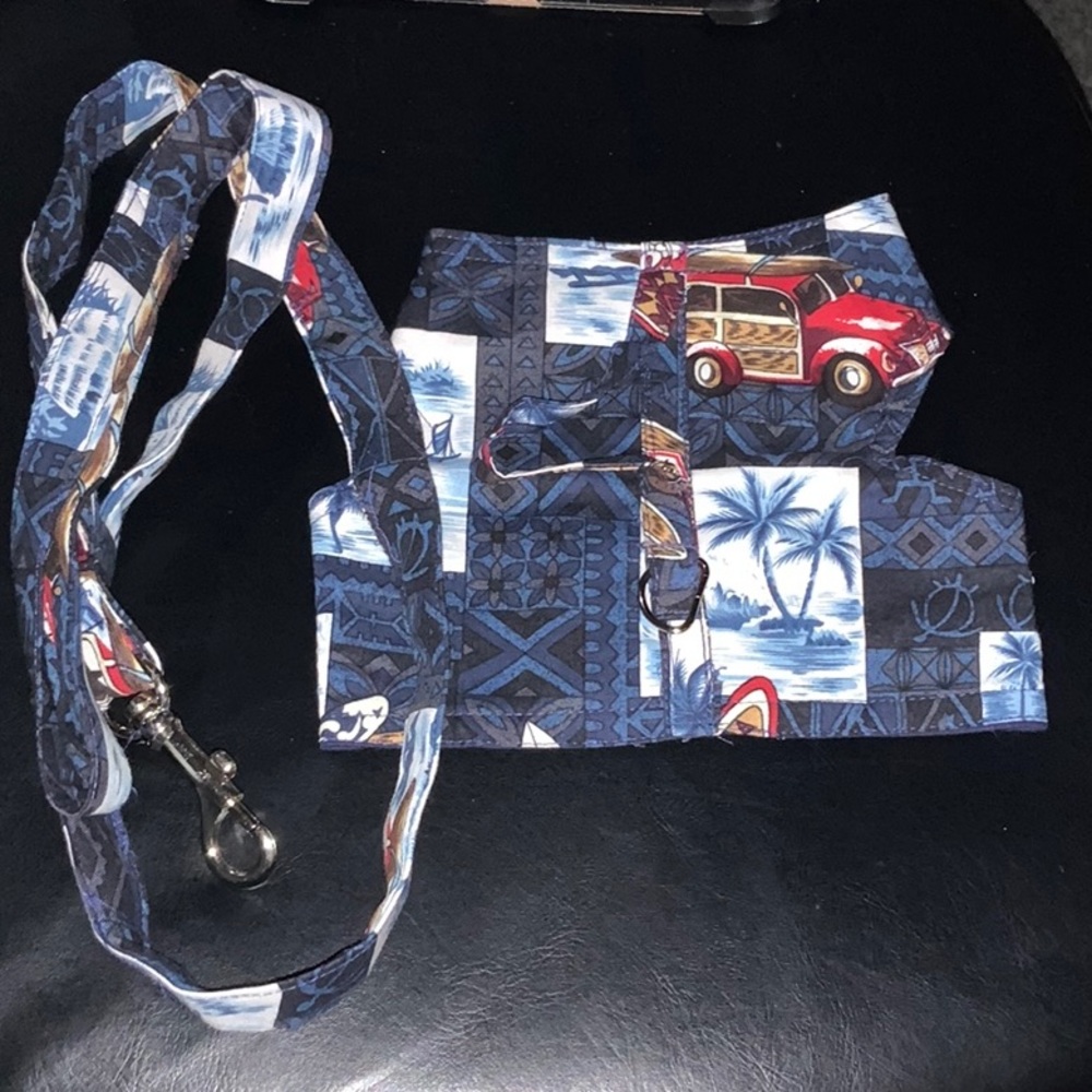 Harness/Leash Set - Picture 2 of 4